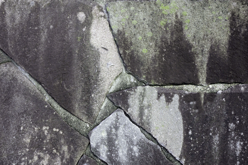 f:id:drfridge:20201017160300g:plain