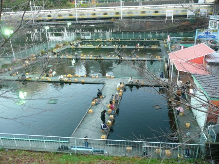 f:id:drgqst:20071223162937j:image