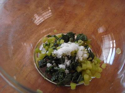 植物図鑑 有川浩 フキごはんとノビルのパスタ おいしい本棚 植物図鑑 有川浩 フキごはんとノビルのパスタ おいしい本棚