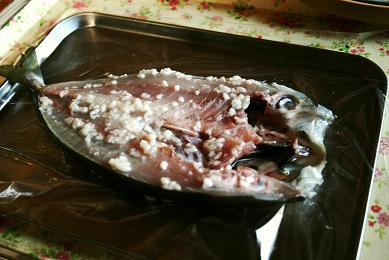 f:id:drifting_girl:20120108094229j:image
