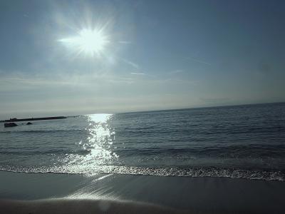 f:id:drifting_girl:20120121143629j:image f:id:drifting_girl:20120121143629j:image