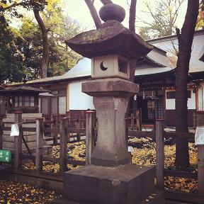 f:id:drifting_girl:20121202214234j:image