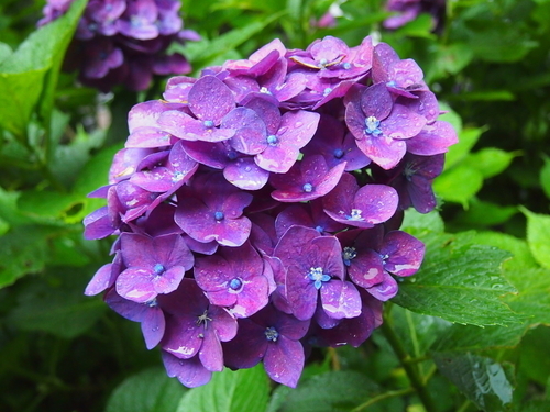 f:id:drinkingboy:20190630203024j:plain