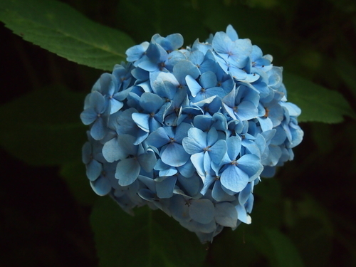 f:id:drinkingboy:20190630203114j:plain