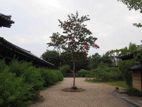 f:id:drinkingboy:20190710222030j:plain