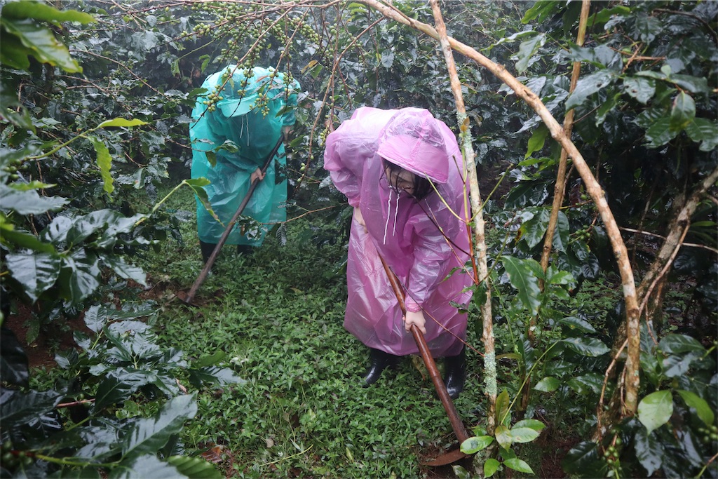 f:id:dripro-ft:20190907234044j:image