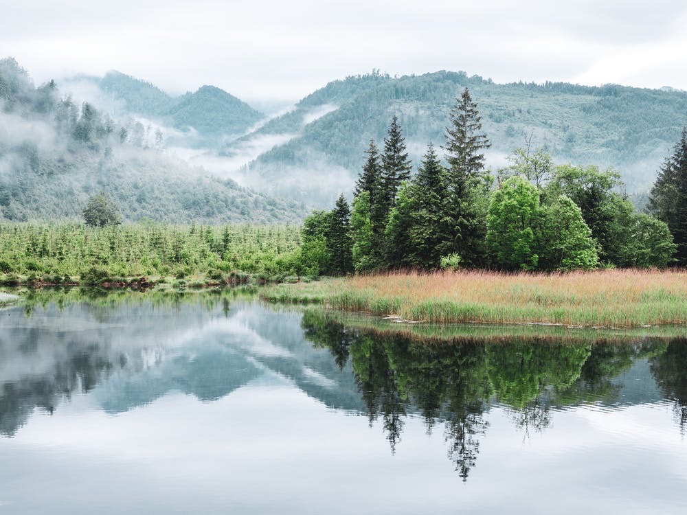 f:id:dripro-ft:20220319224604j:plain