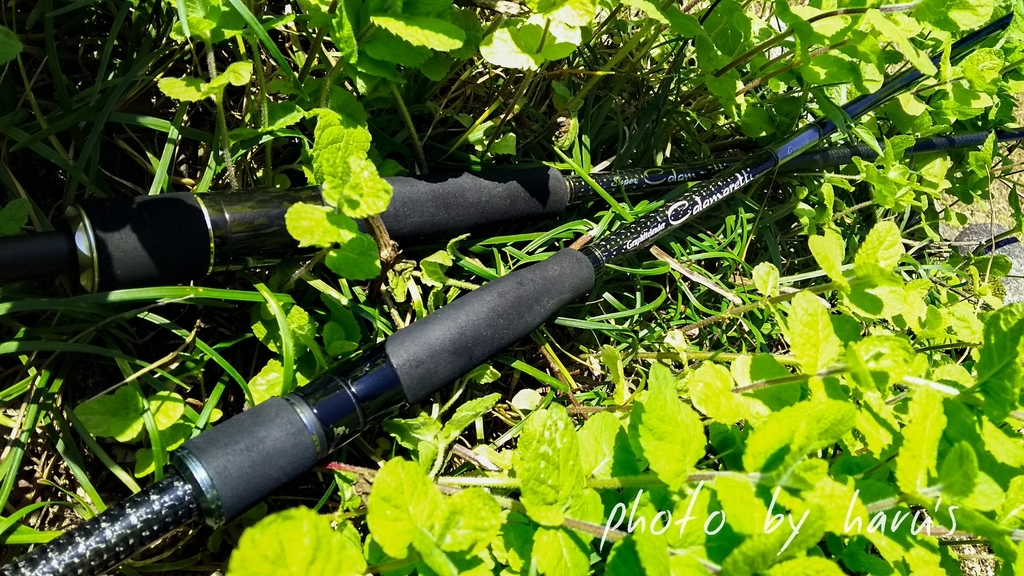 16カラマレッティー862ML インプレ - 志摩尾鷲熊野でアジ アオリ