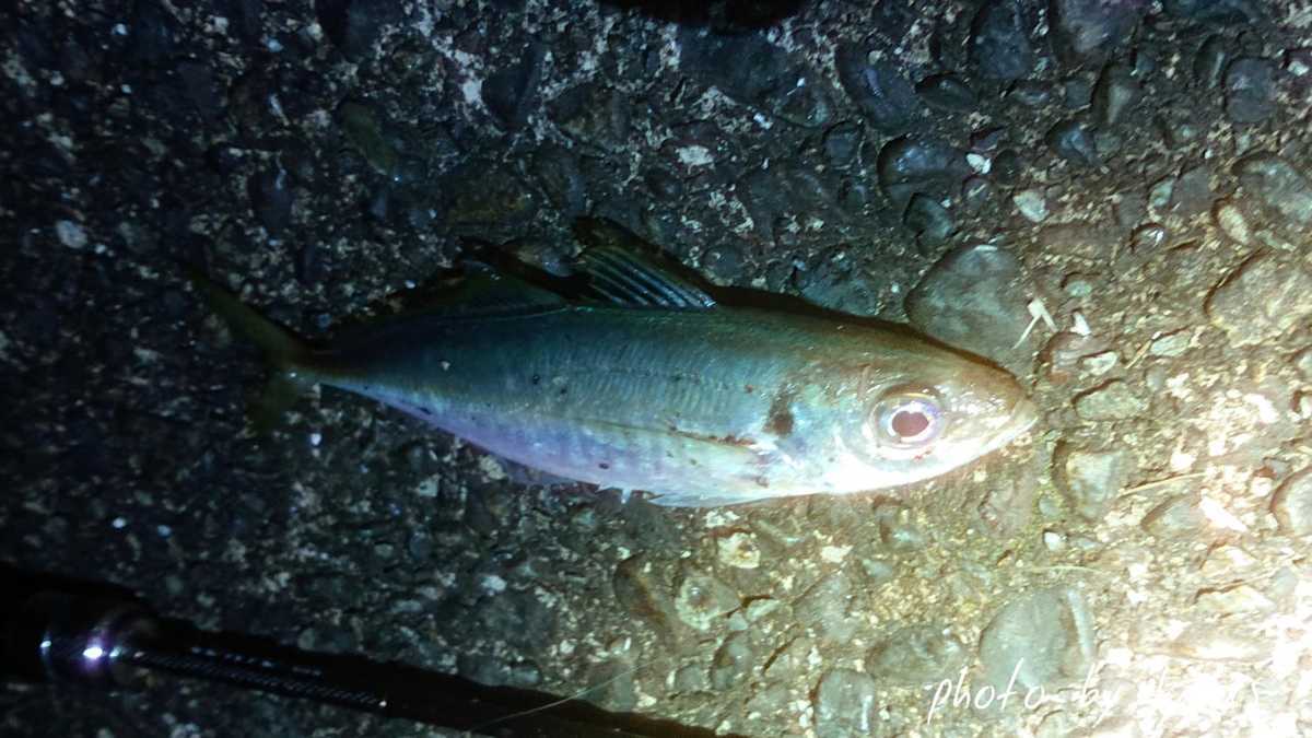 f:id:drivenboostmk2:20210117061208j:plain