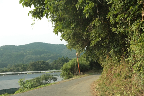 和田浦海水浴場