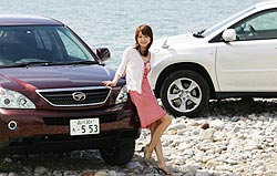 ハリアーｖｓハリアーハイブリッド　海辺