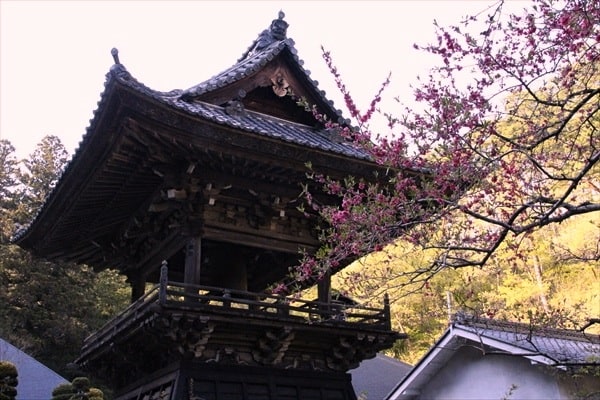長野 安楽寺