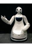 施設案内ロボット（ロビーナ）
