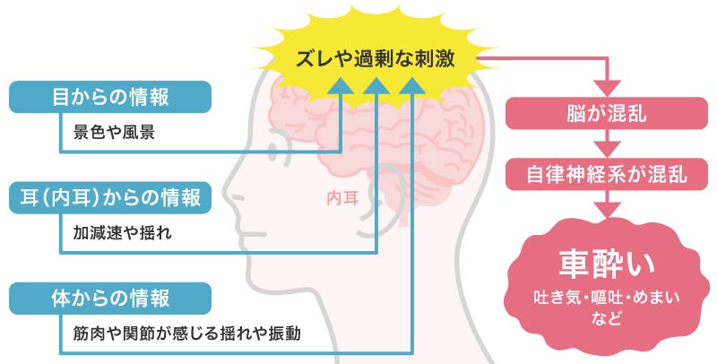 車酔いをする原因の説明図