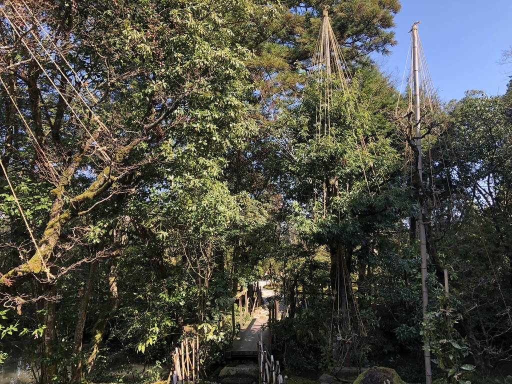 f:id:drkuma:20190304213726j:plain