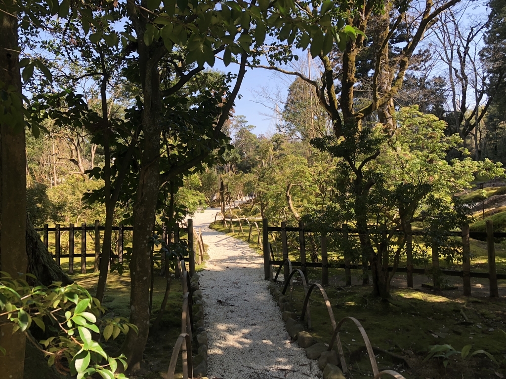 f:id:drkuma:20190304213946j:plain