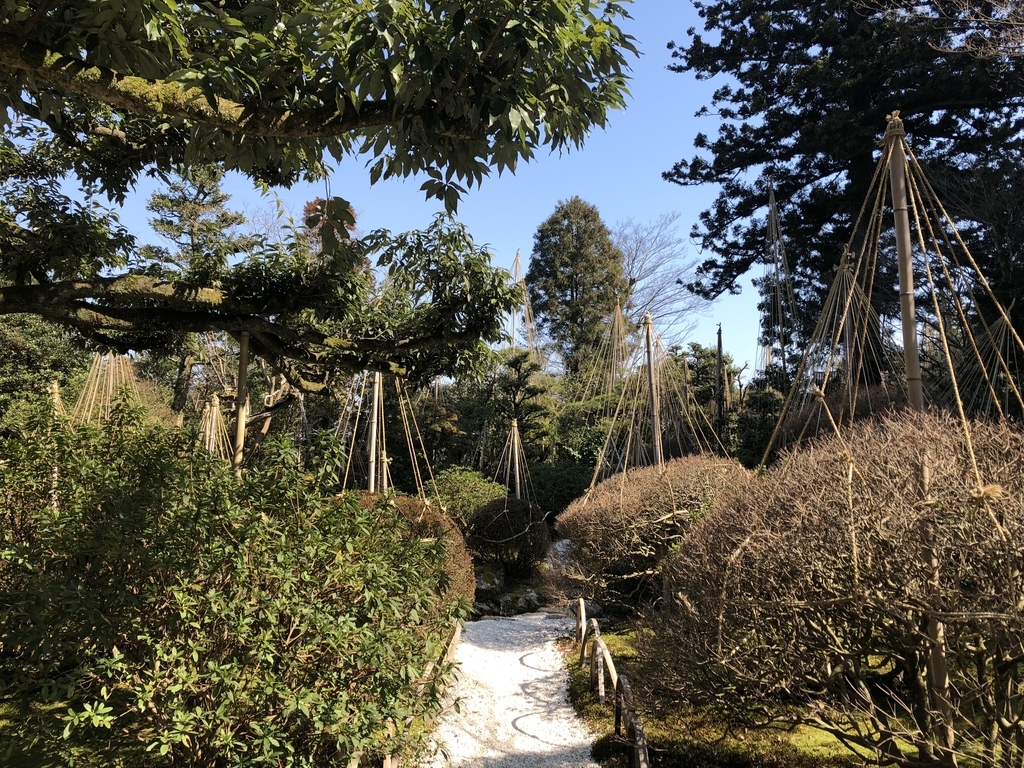 f:id:drkuma:20190304214044j:plain