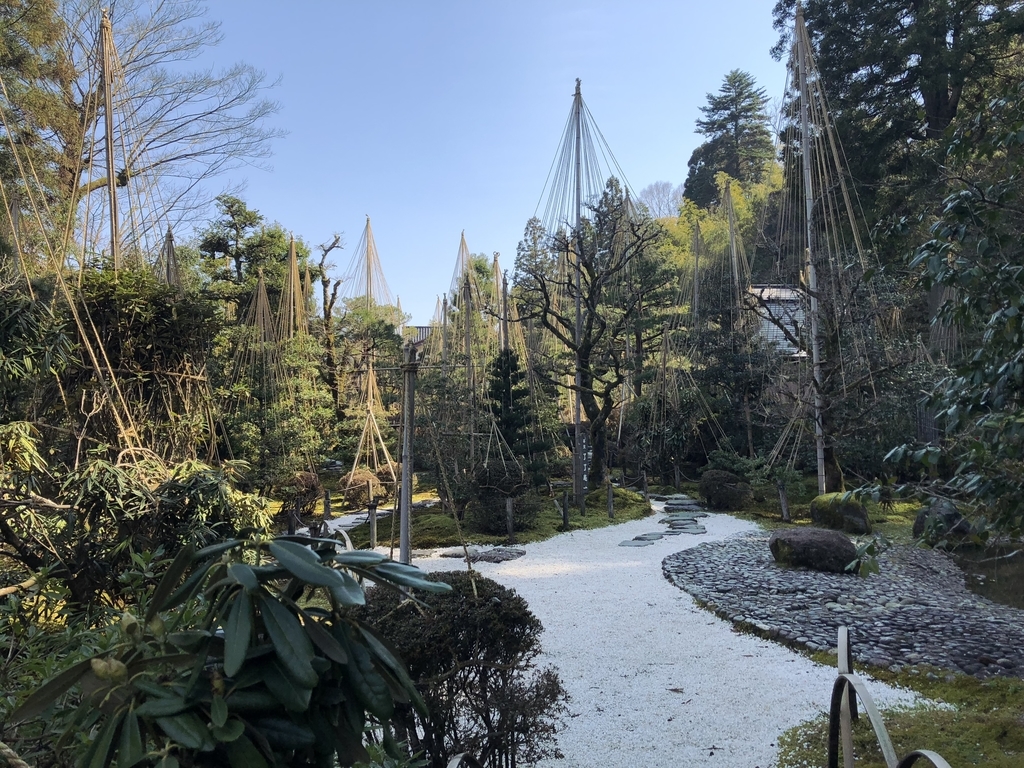 f:id:drkuma:20190304214255j:plain