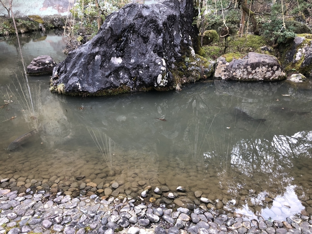 f:id:drkuma:20190304215144j:plain