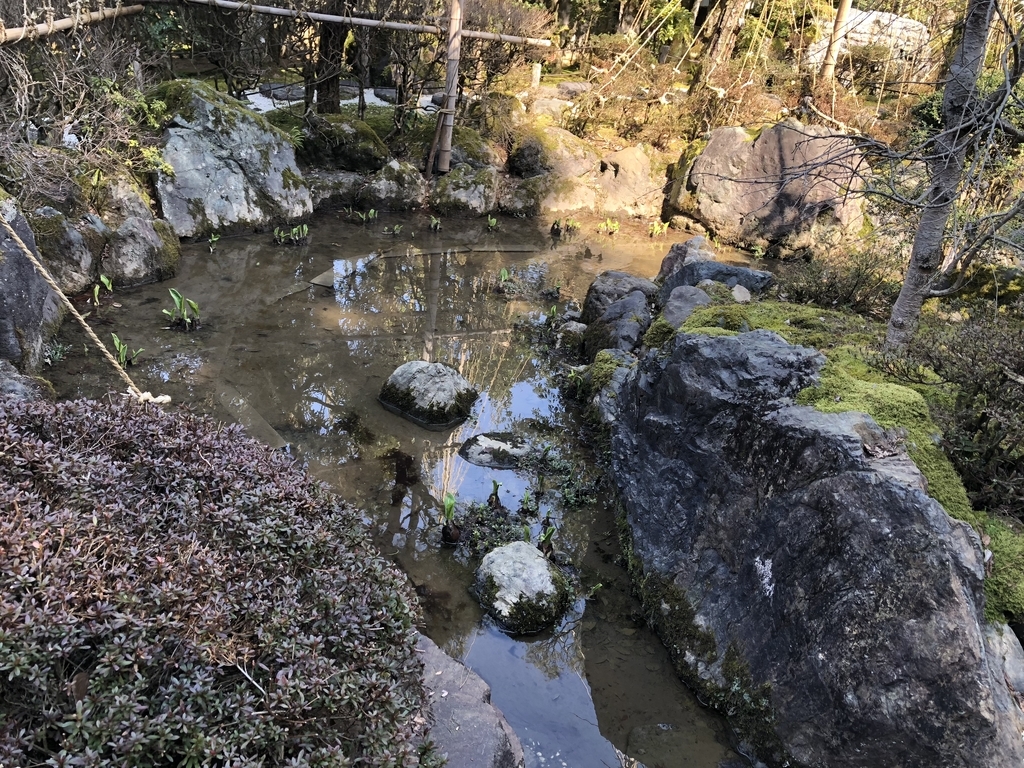 f:id:drkuma:20190304215300j:plain