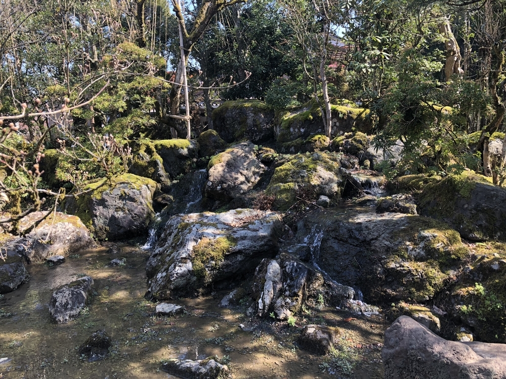 f:id:drkuma:20190304215405j:plain