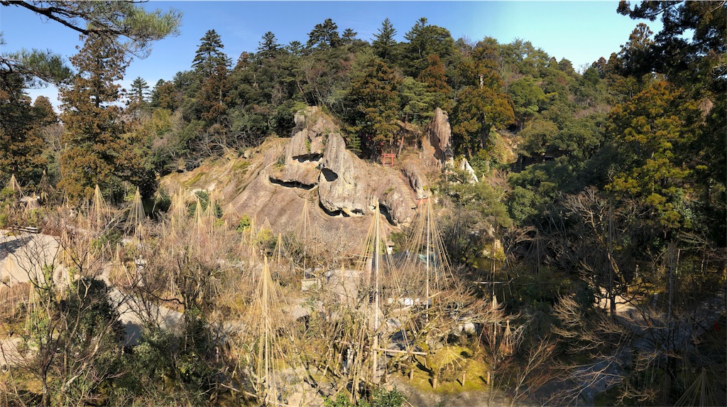 f:id:drkuma:20190305183301j:image