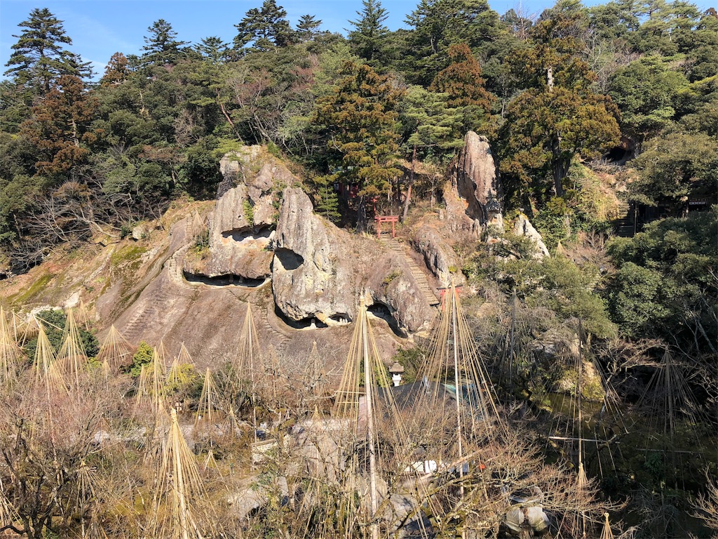 f:id:drkuma:20190305184632j:image