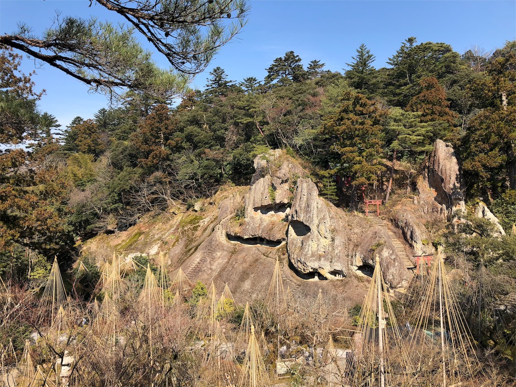 f:id:drkuma:20190305184640j:image