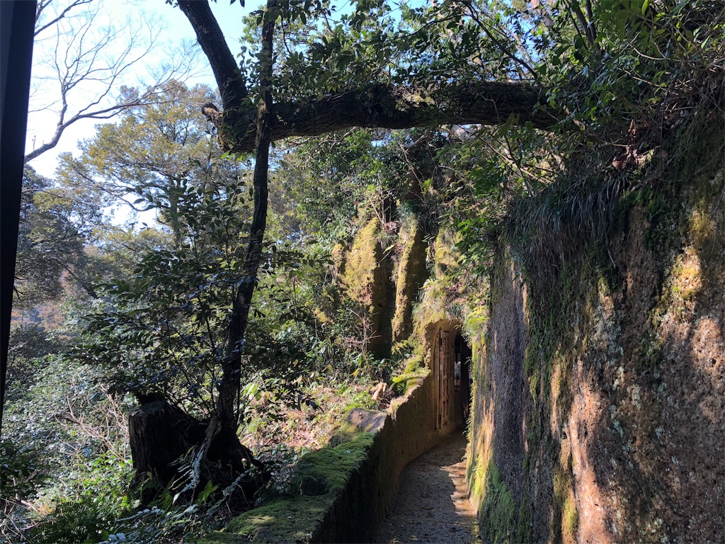 f:id:drkuma:20190305185444j:image