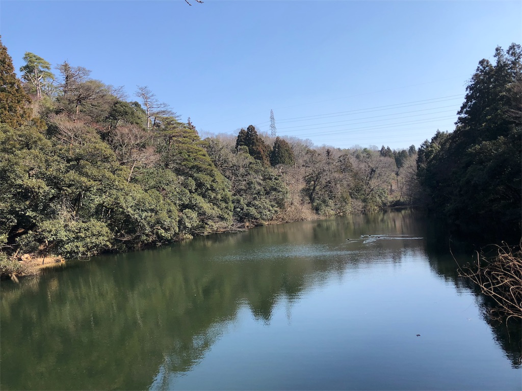 f:id:drkuma:20190305185521j:image