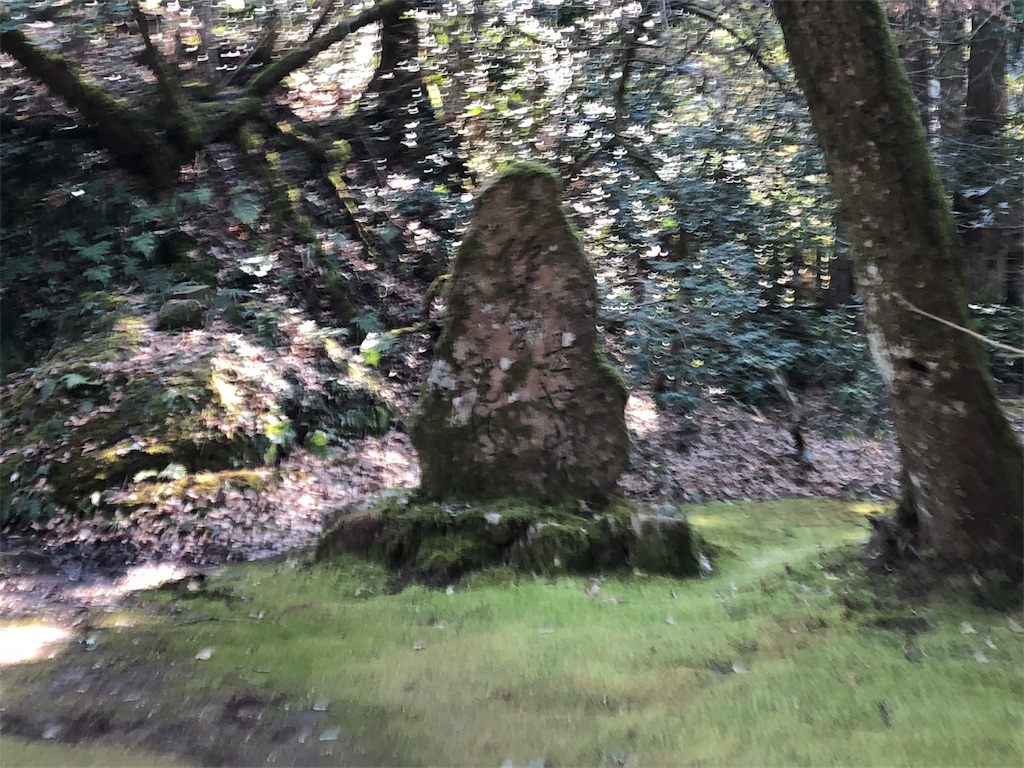 f:id:drkuma:20190305190921j:image