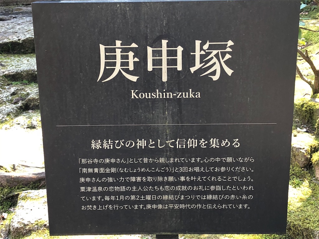 f:id:drkuma:20190305191543j:image