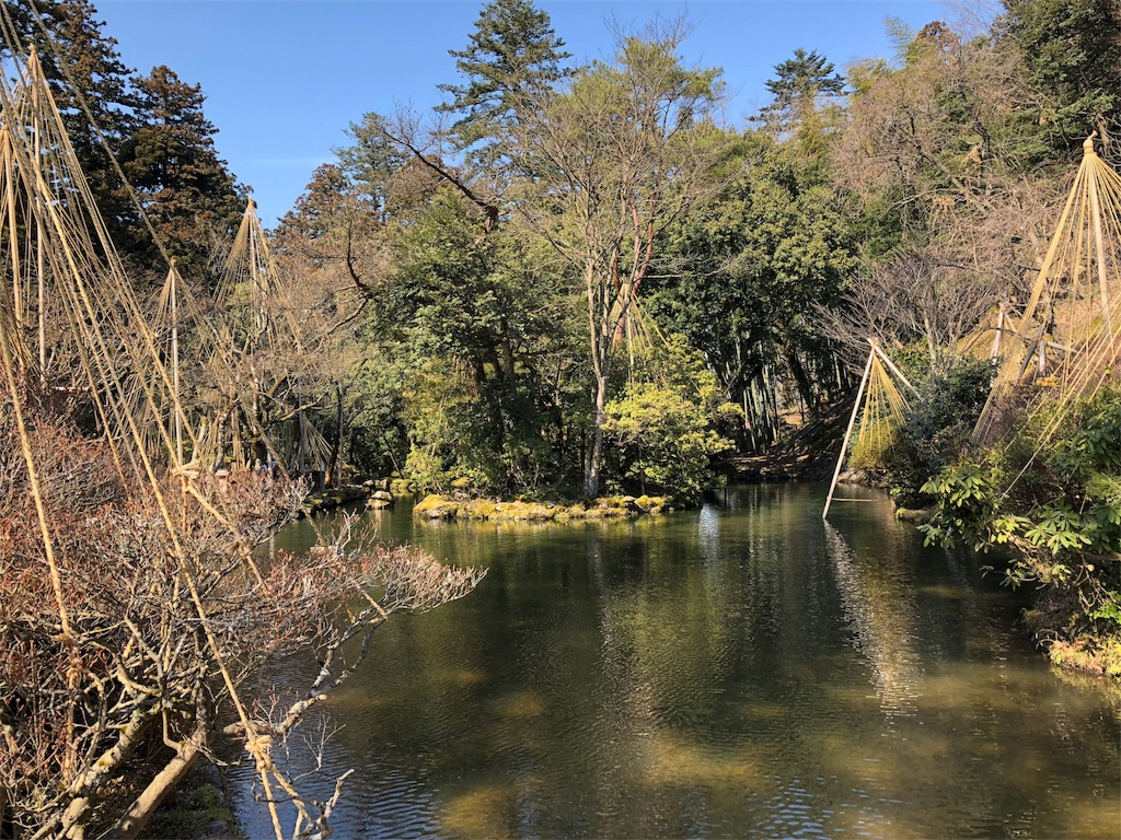 f:id:drkuma:20190305192407j:image