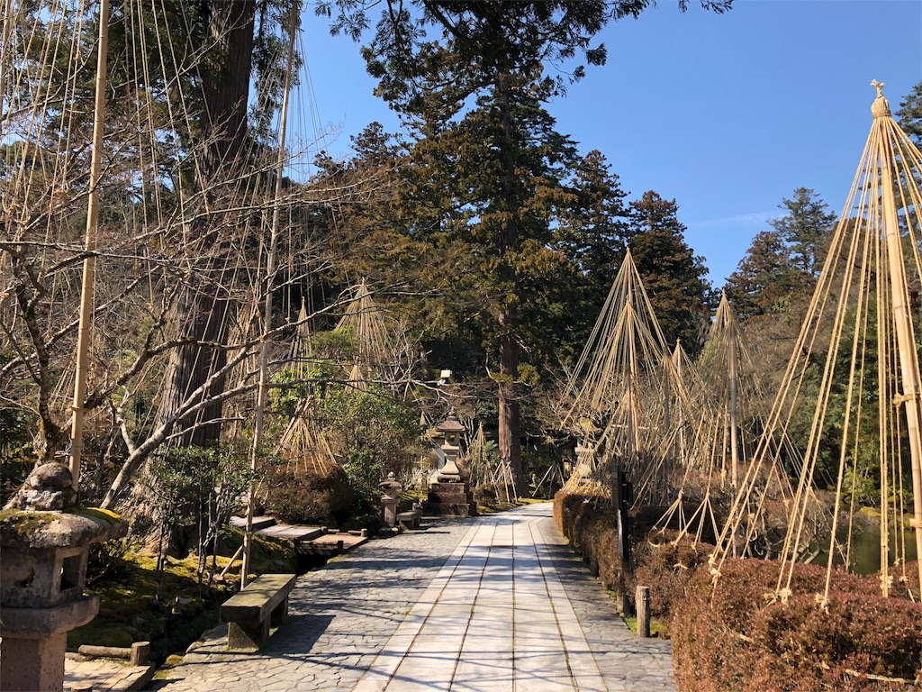 f:id:drkuma:20190305194204j:image