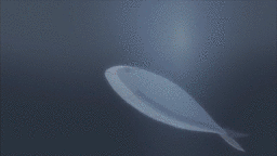 f:id:droberthing:20171220202316g:plain