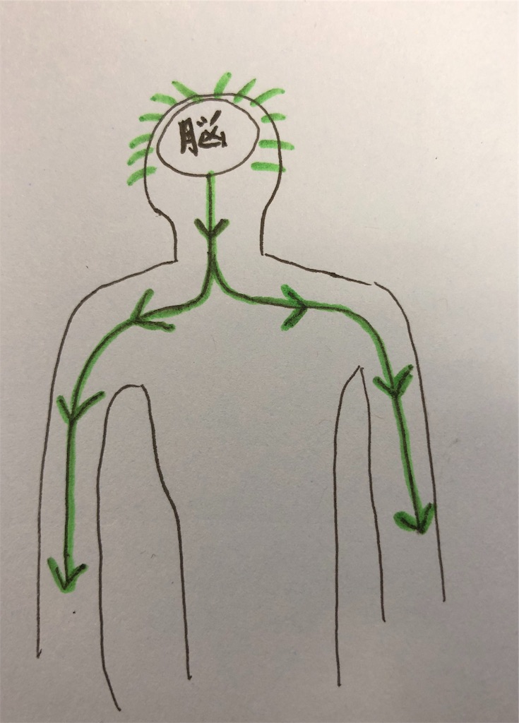 f:id:drokuno:20190208104118j:image f:id:drokuno:20190208104118j:image