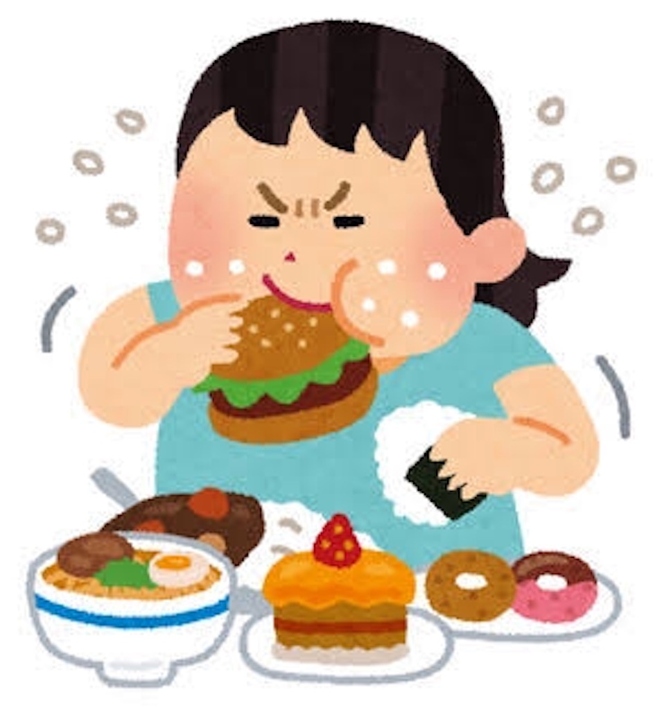 f:id:drokuno:20190503204139j:image f:id:drokuno:20190503204139j:image