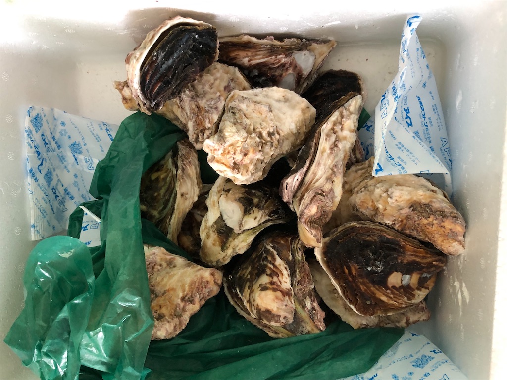 f:id:drokuno:20190902221432j:image f:id:drokuno:20190902221432j:image