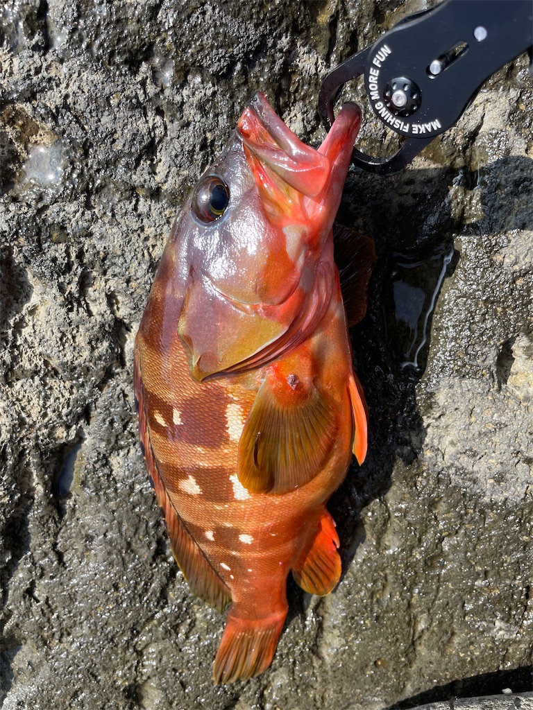 f:id:dromar_fishing:20220911204809j:image