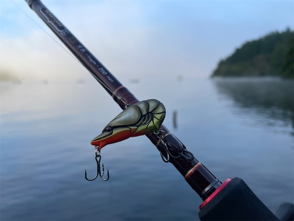 f:id:dromar_fishing:20221003194558j:image