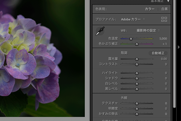 ADOBE LIGHTROOM