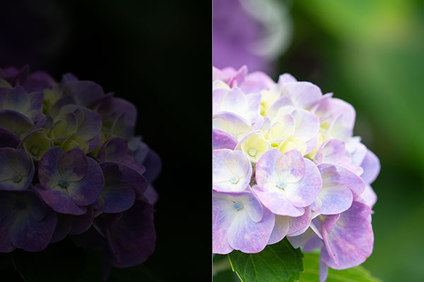 ADOBE LIGHTROOM 露光量補正