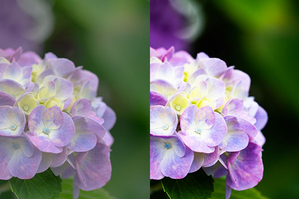 ADOBE LIGHTROOM コントラスト補正