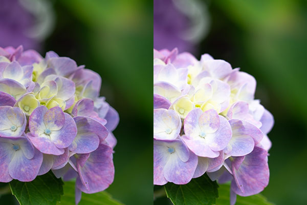 ADOBE LIGHTROOM ハイライト補正