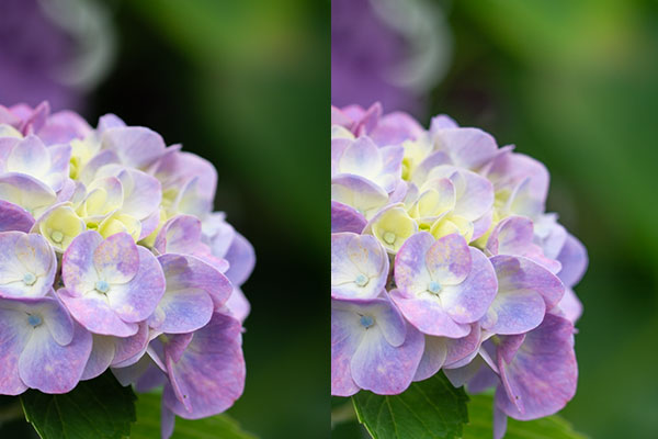 ADOBE LIGHTROOM シャドウ補正
