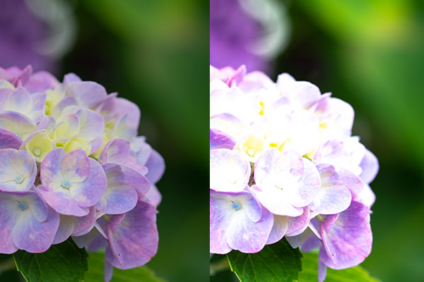 ADOBE LIGHTROOM 白レベル補正