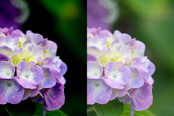 ADOBE LIGHTROOM 黒レベル補正