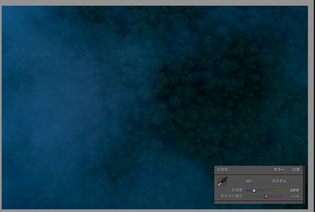 f:id:drone_skyfish:20170915130209j:plain f:id:drone_skyfish:20170915130209j:plain