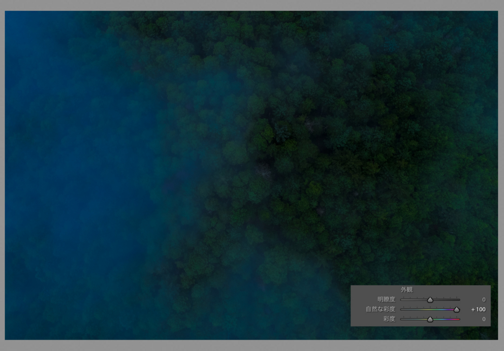 f:id:drone_skyfish:20170915130356j:plain f:id:drone_skyfish:20170915130356j:plain