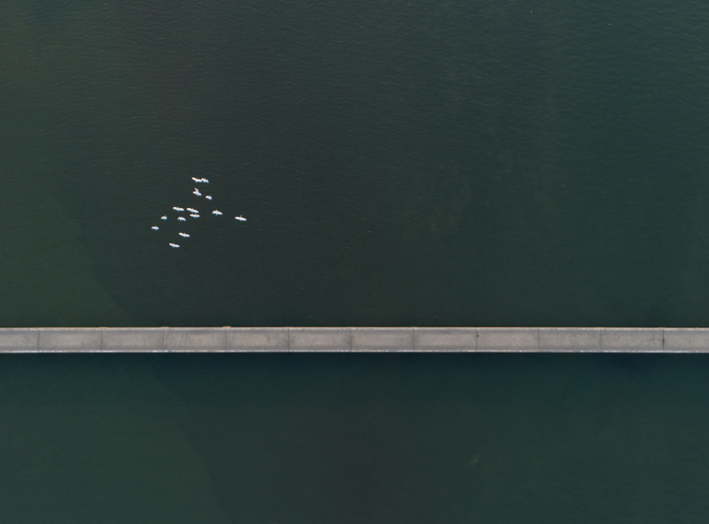 f:id:drone_skyfish:20171020164100j:plain f:id:drone_skyfish:20171020164100j:plain